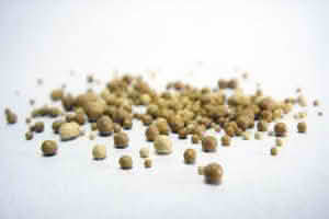 A close-up of small brown bits on a white surface, highlighting the texture and details of yeast extract