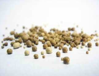 A close-up of small brown bits on a white surface, highlighting the texture and details of yeast extract